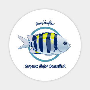 Sergeant Major Damselfish Magnet